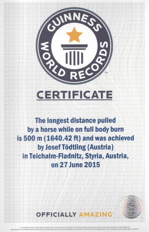 Guinness World Record - Certificate